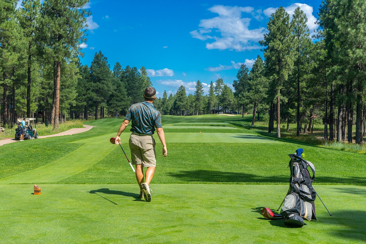 Golfer hitting ball on fariway among mature pines