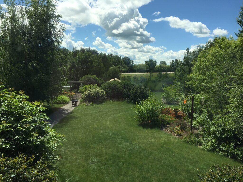 Right Tree, Right Place